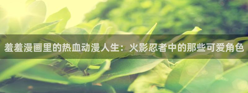 在线动画动漫下载omofun动漫