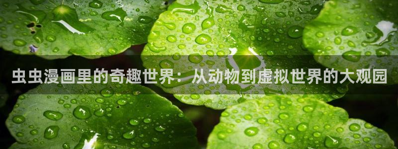 omofun动漫官网版入口
