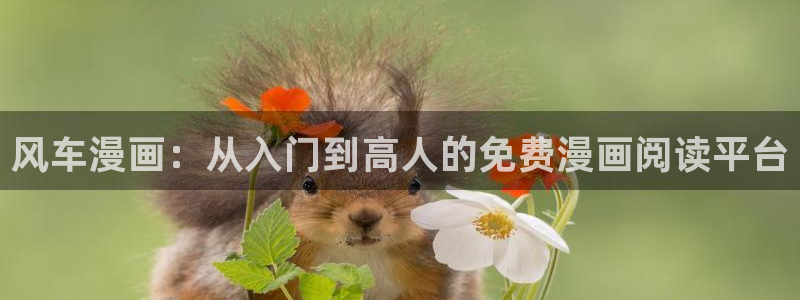 colamanage漫画下载