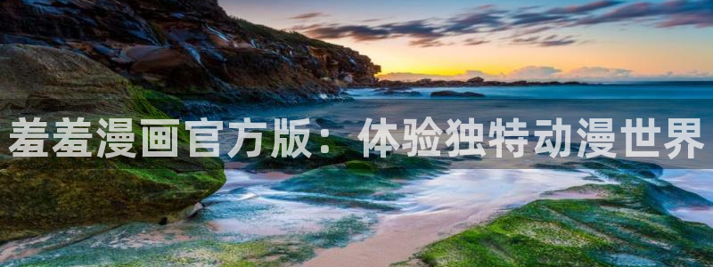 拷贝漫画 copymanager.ory网站