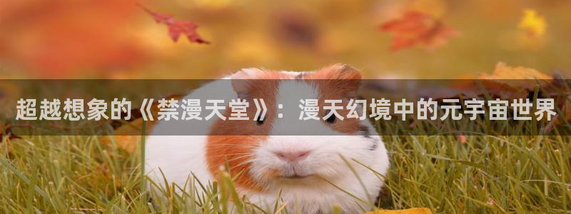 omofun动漫官网网址