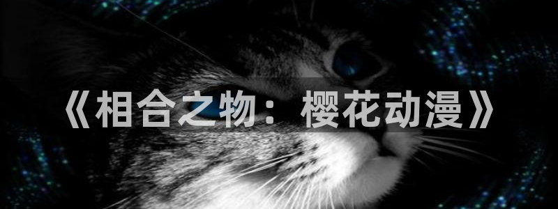 omofun动漫樱花
