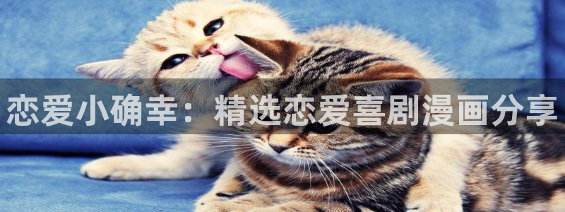 omofun动漫官网樱花动漫：恋爱小确幸：精选恋爱喜剧漫画分享