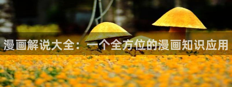 omofun动漫网：漫画解说大全：一个全方位的漫画知识应用